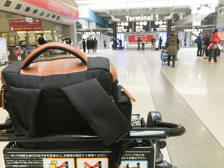 Photo 11-12-2015, 1 04 48 PM