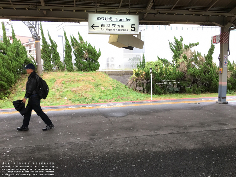 Photo 11-12-2015, 12 27 11 PM